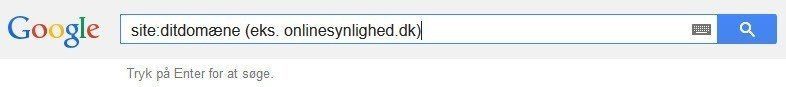 Google Site-søgning
