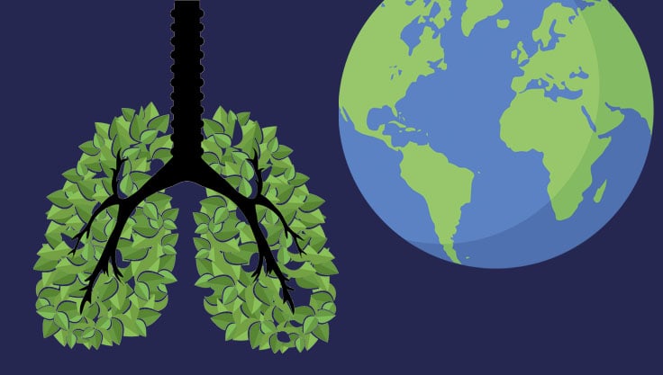 Lungs