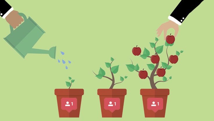Growth