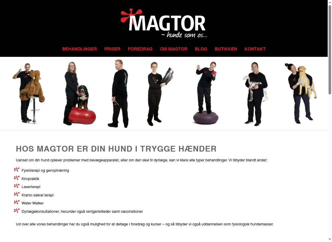 Magtor - webshop med abonnementsløsning til kunder